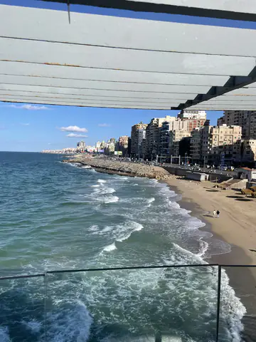 Alexandria 2024 preview