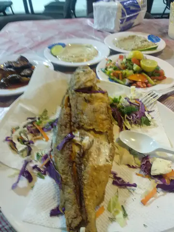 Dish Fish In Alexandria