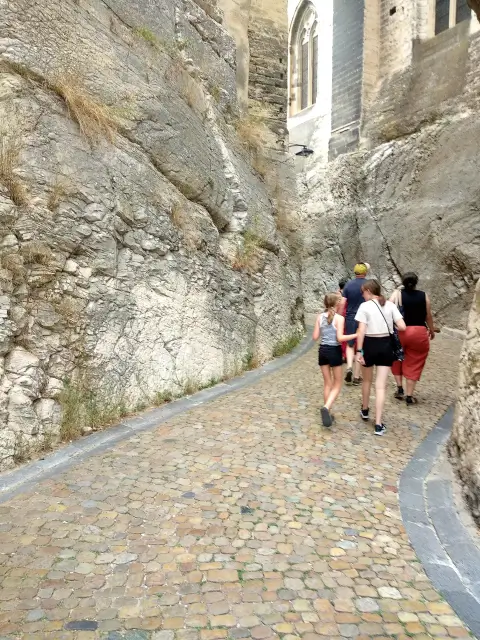 Avignon Palais Des Papes Tourism