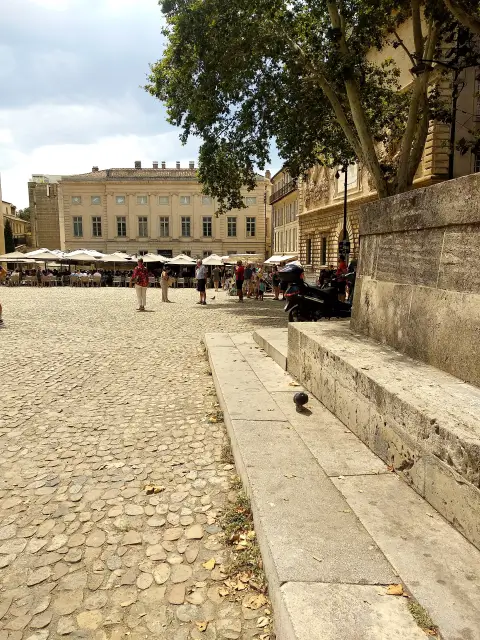 Avignon Palm Space Pedestrian Town