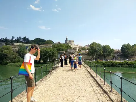 Avignon Pont D Palais Des