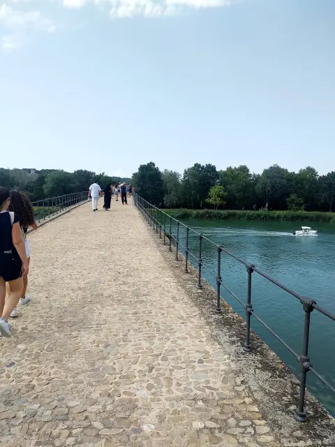 Avignon Tourism Bridge Waterway Bank