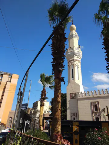 Cairo Architecture Architecturem Riba Chartered