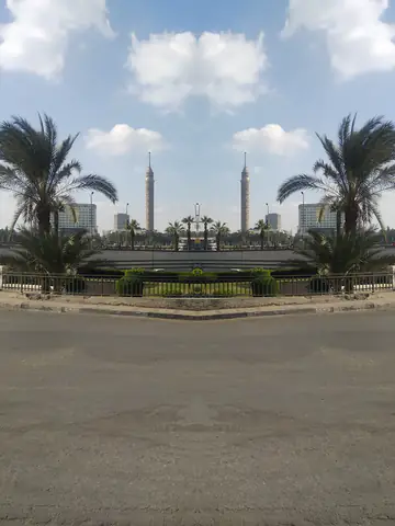 Cairo Asian Palmyra Palm Sabal