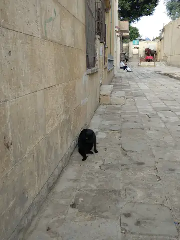 Cairo Floor Jean Sport Aviation