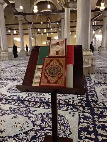 Cairo Interior Design Design Motif