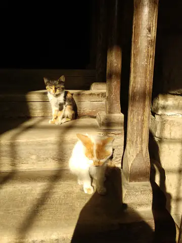 Cairo M 083vt Light Darkness