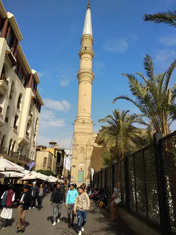 Cairo Palms Tree Palm Tree