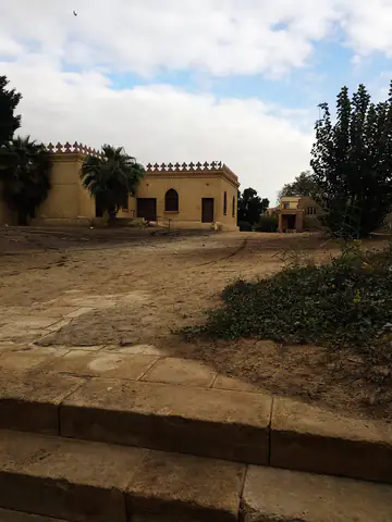 Cairo Palms Tree Wall Brown