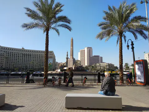 Cairo Plaza M Babassu Attalea