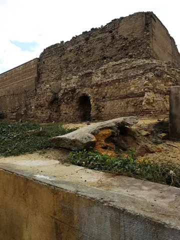 Cairo Tree M Tree Brown