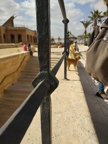 Cairo Tree M Tree Composite