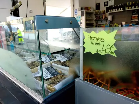 Cannes Display Case Retail Produce