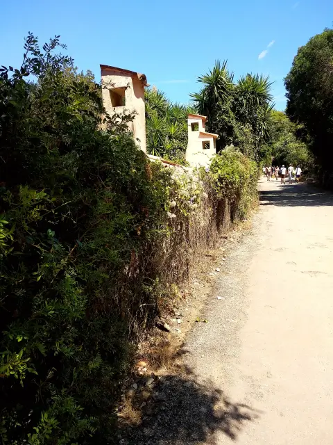 Cannes House Shrub Trail Walkway