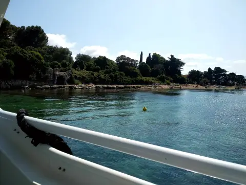 Cannes Musee Du Masque De