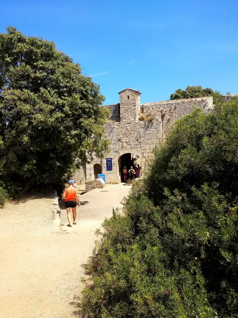 Cannes Recreation Pedestrian Vacation Leisure