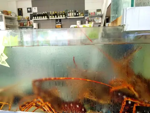 Cannes Transparent Material Glass Bottle