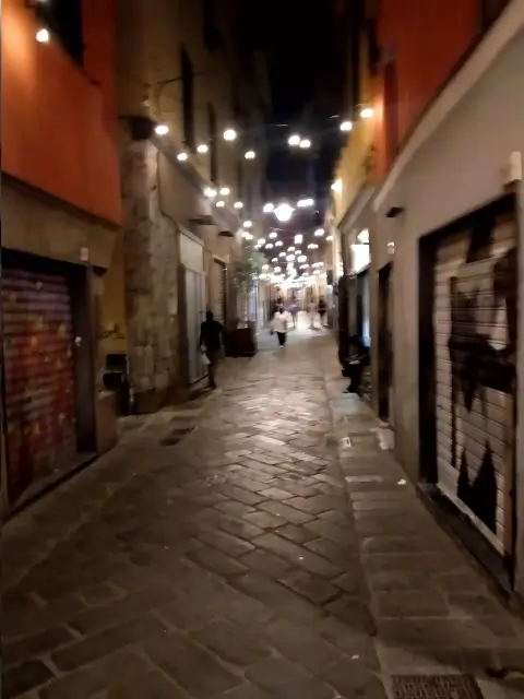 Genua Alley Security Lighting Light