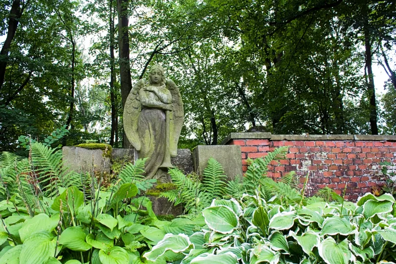 Polish Czech Landscapes 009