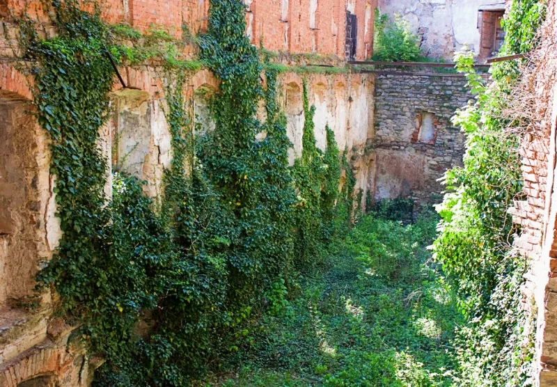 Polish Czech Landscapes 020