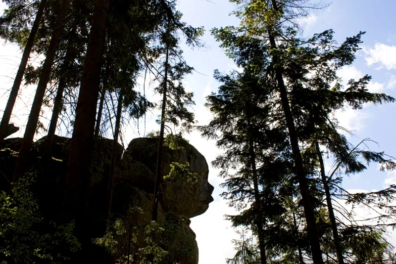 Polish Czech Landscapes 034