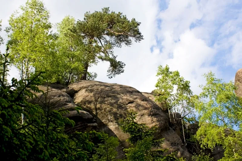 Polish Czech Landscapes 037