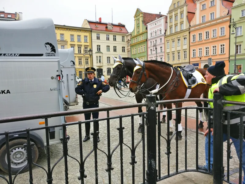 Polish Czech Landscapes 046