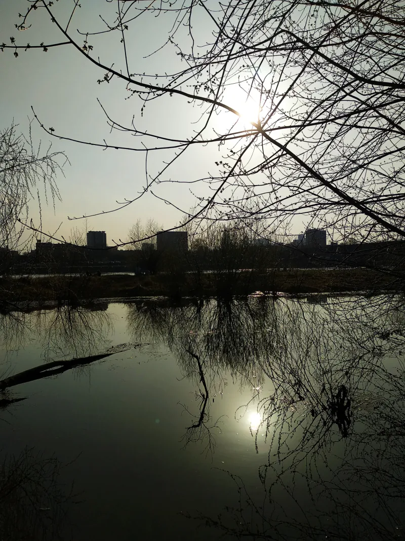 Polish Czech Landscapes 048