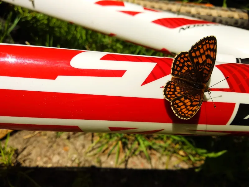 Polish Czech Landscapes 051