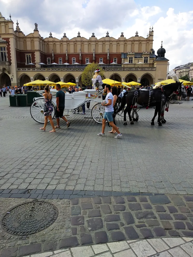 Polish Czech Landscapes 054