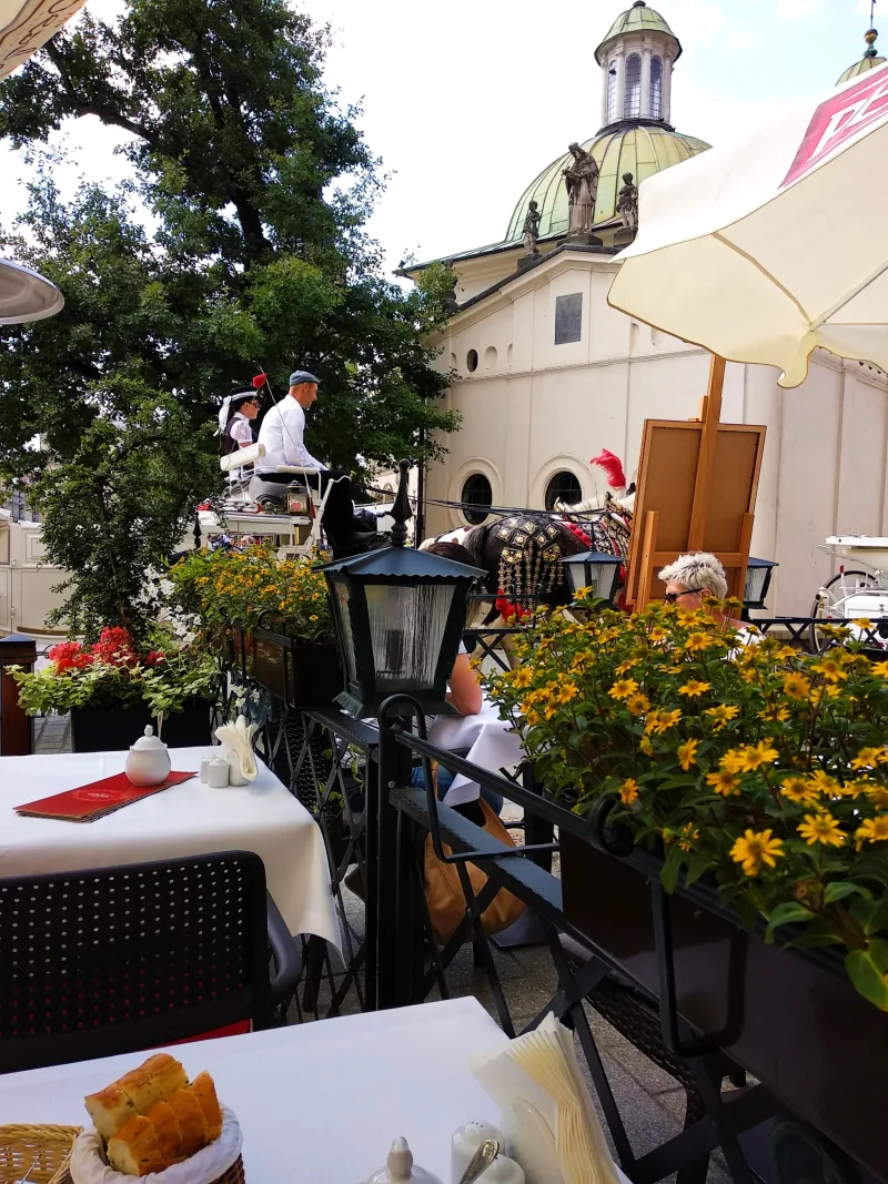 Polish Czech Landscapes 055