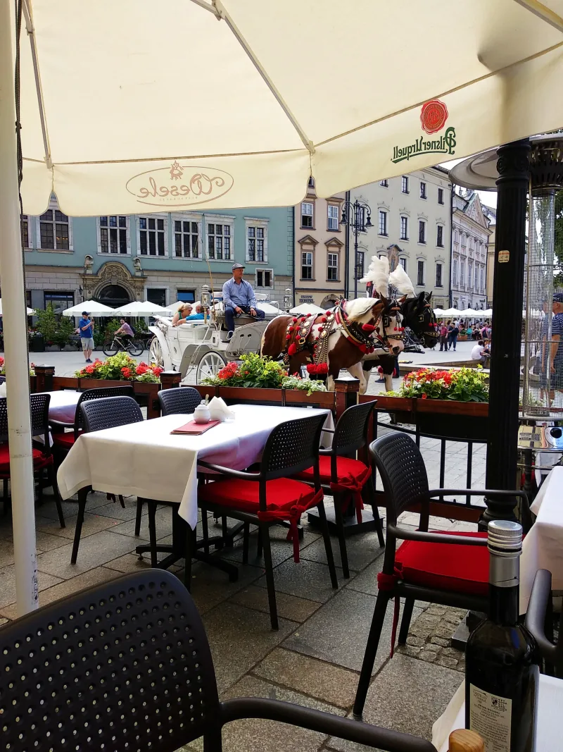 Polish Czech Landscapes 056