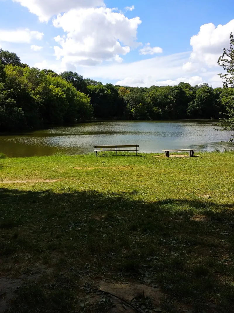 Polish Czech Landscapes 057