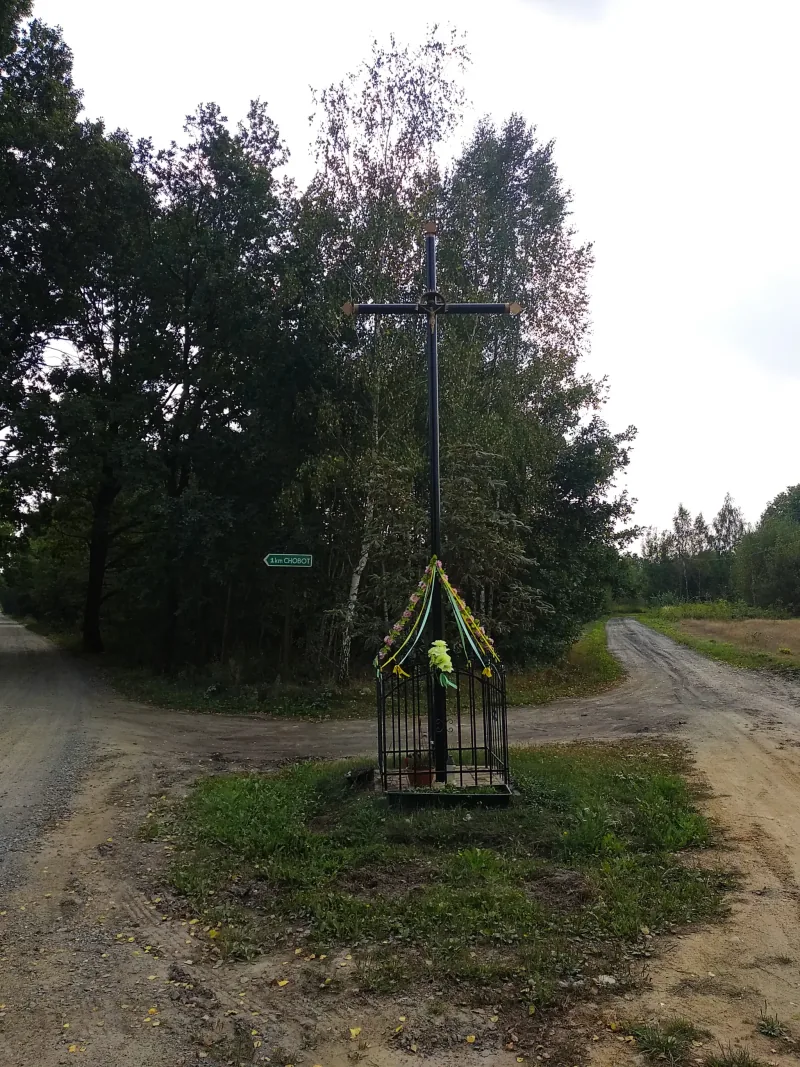 Polish Czech Landscapes 065