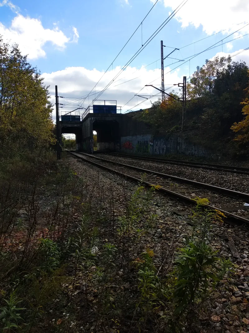 Polish Czech Landscapes 066