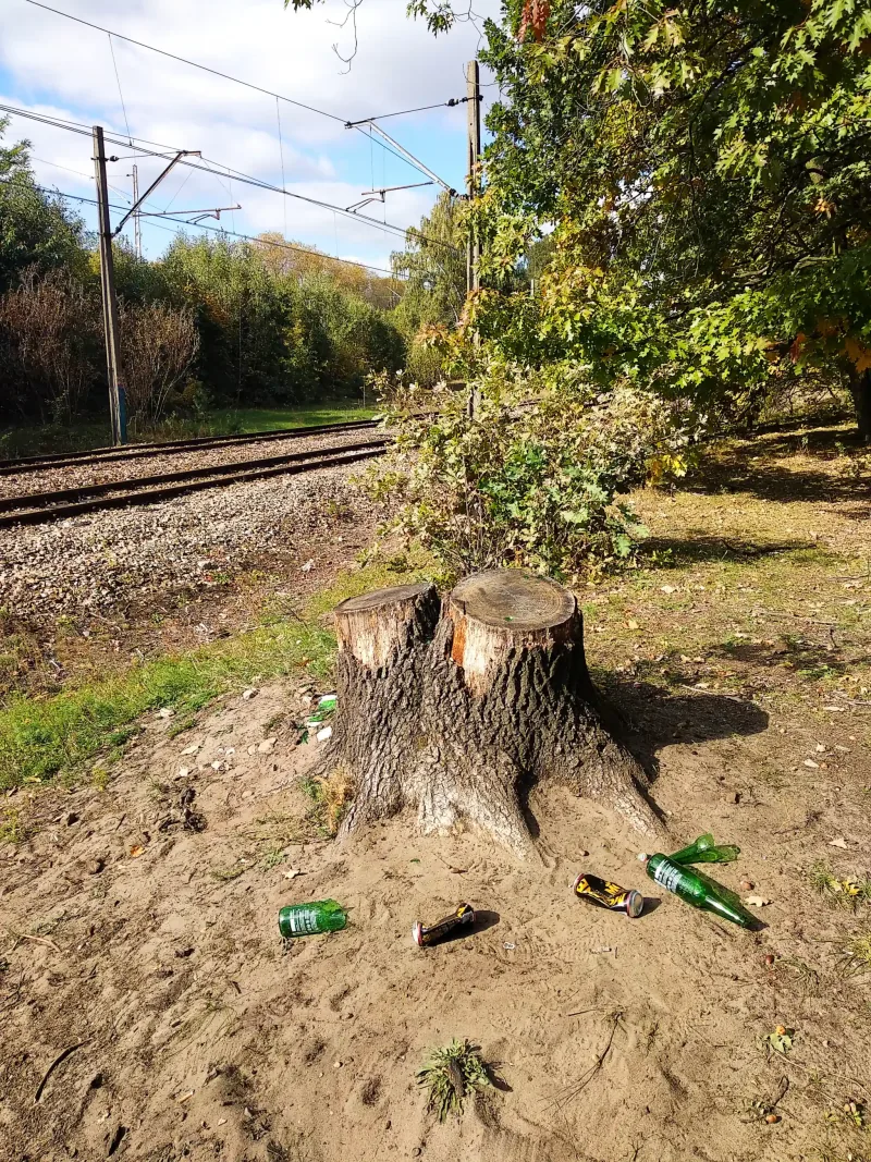 Polish Czech Landscapes 067