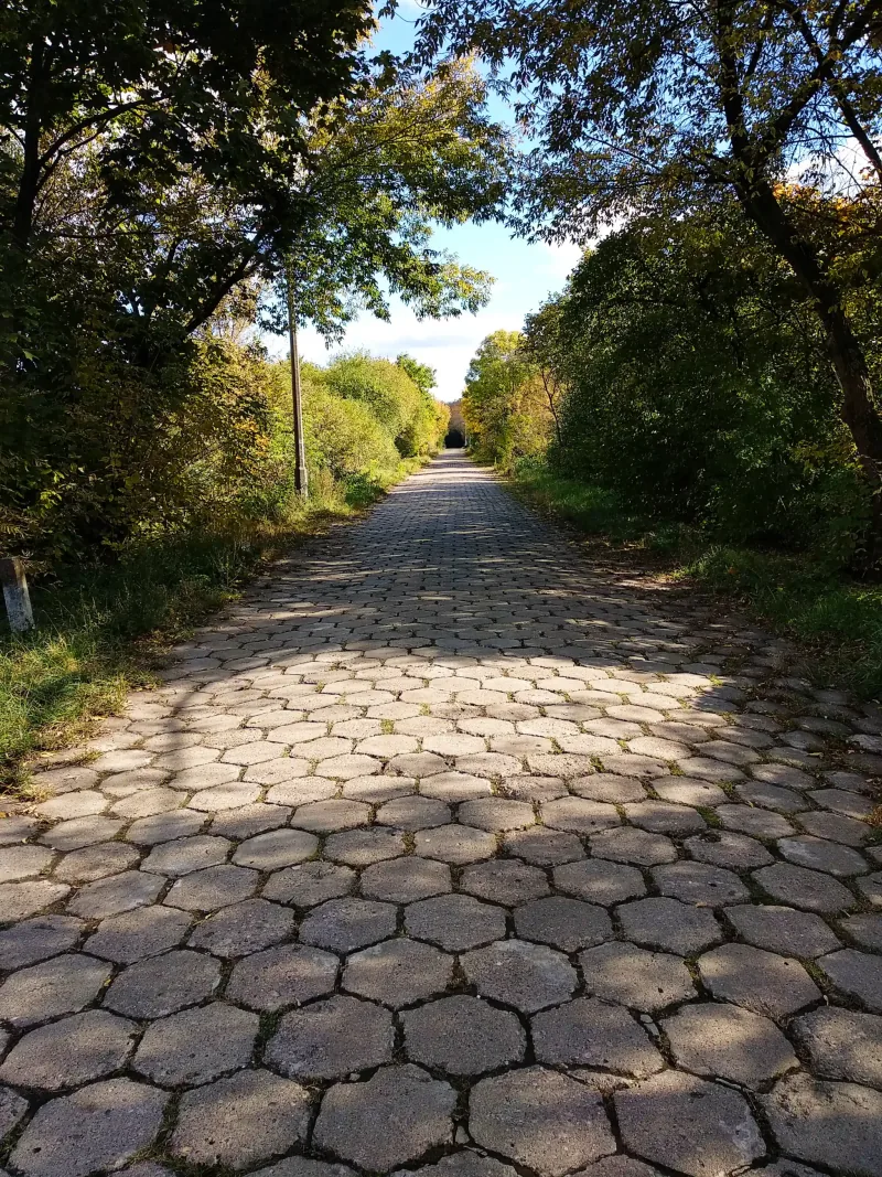 Polish Czech Landscapes 070