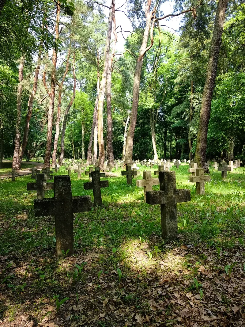 Polish Czech Landscapes 080