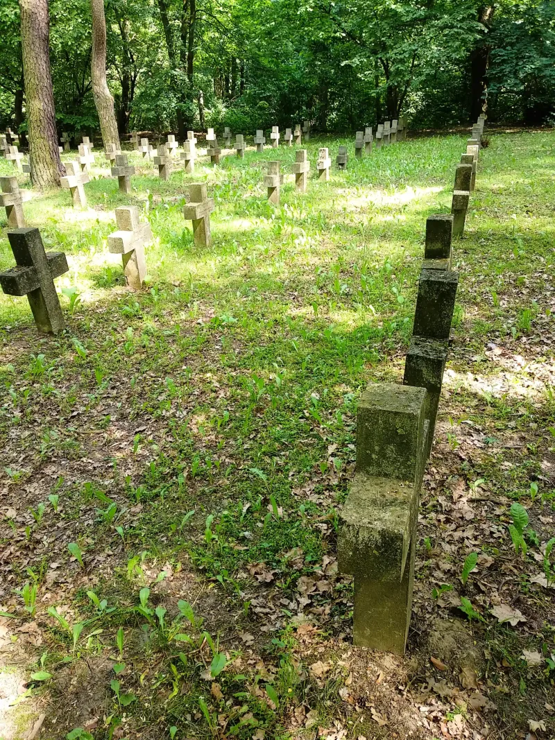 Polish Czech Landscapes 081