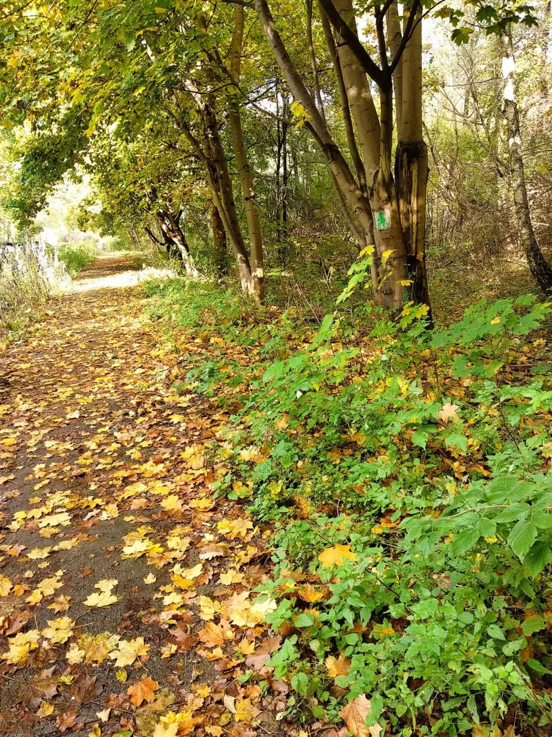 Polish Czech Landscapes 086