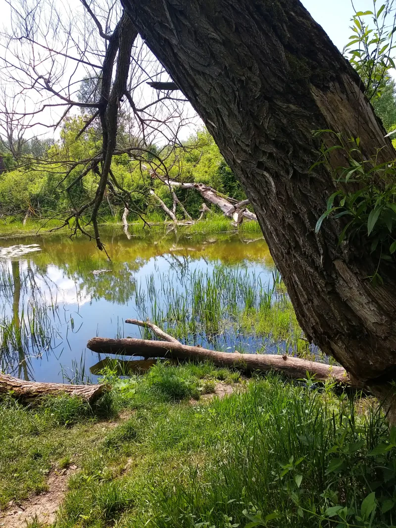 Polish Czech Landscapes 088