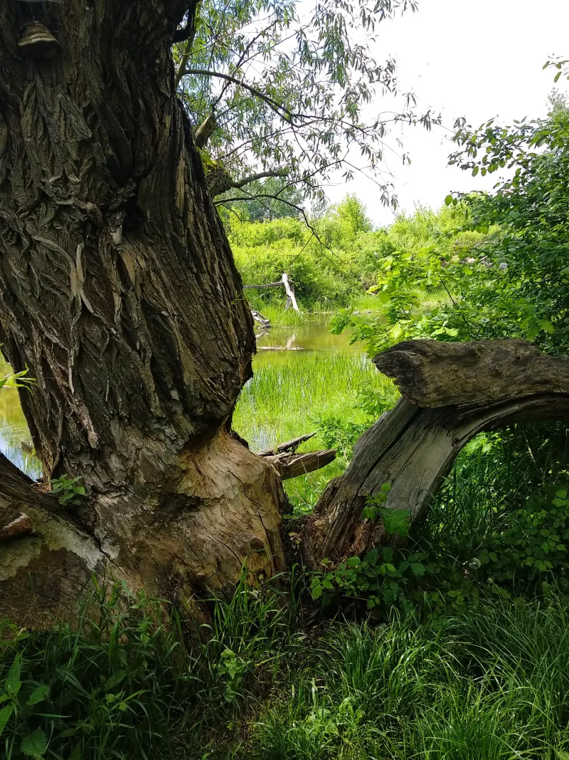 Polish Czech Landscapes 089