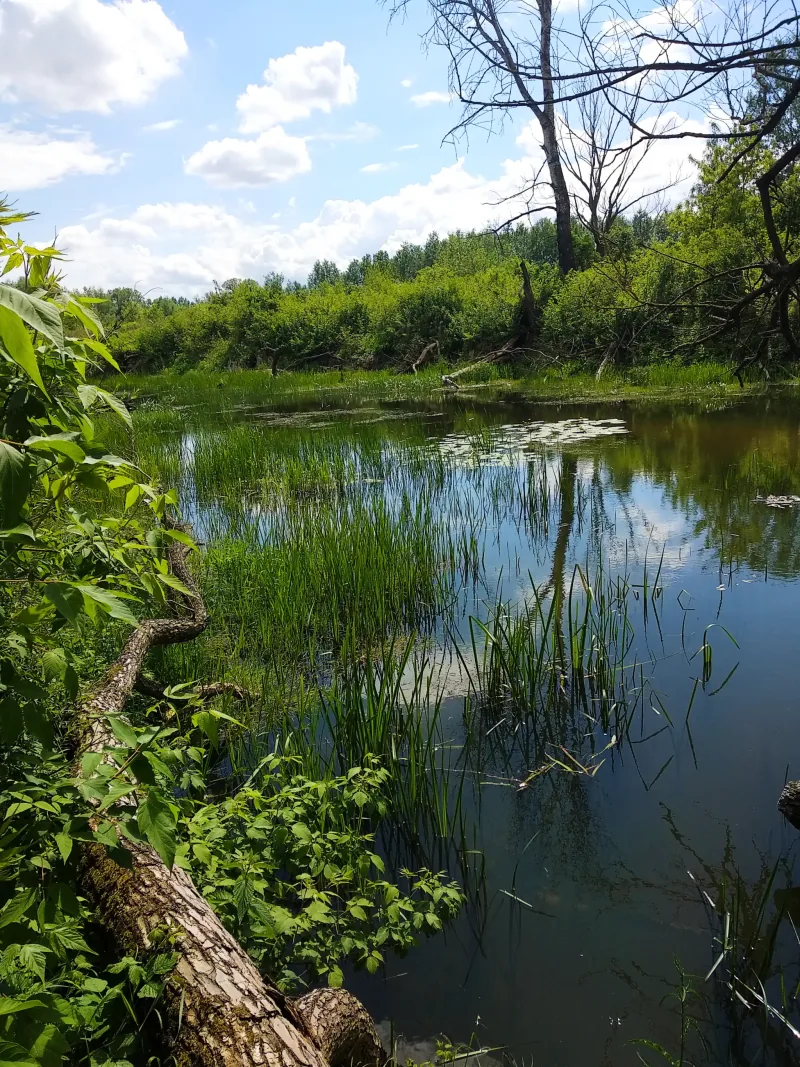 Polish Czech Landscapes 090