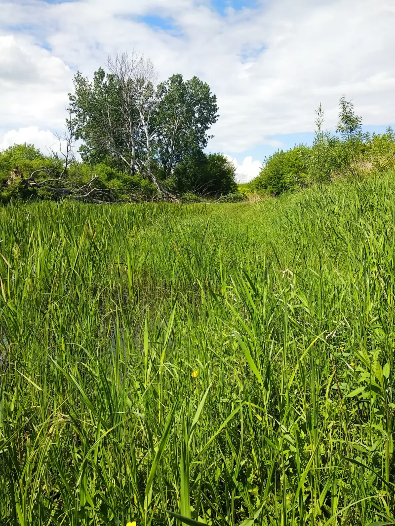 Polish Czech Landscapes 092