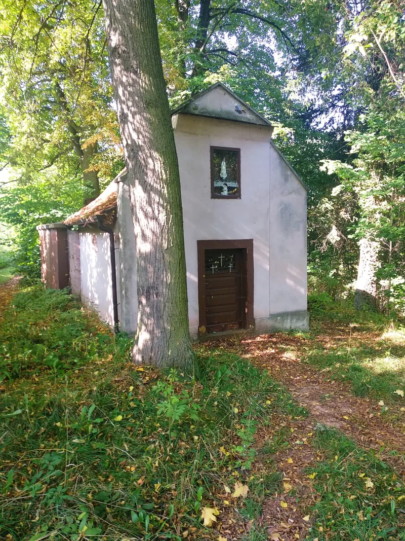 Polish Czech Landscapes 100