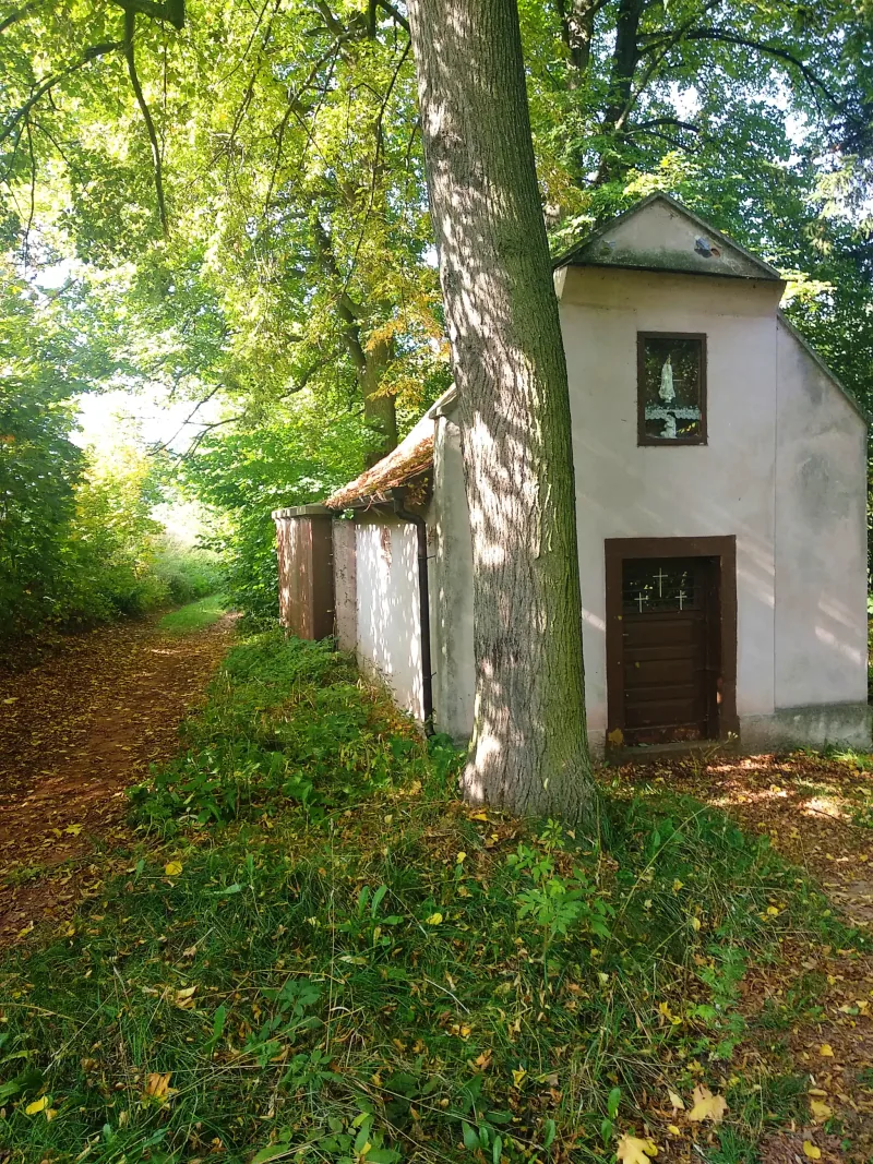 Polish Czech Landscapes 101