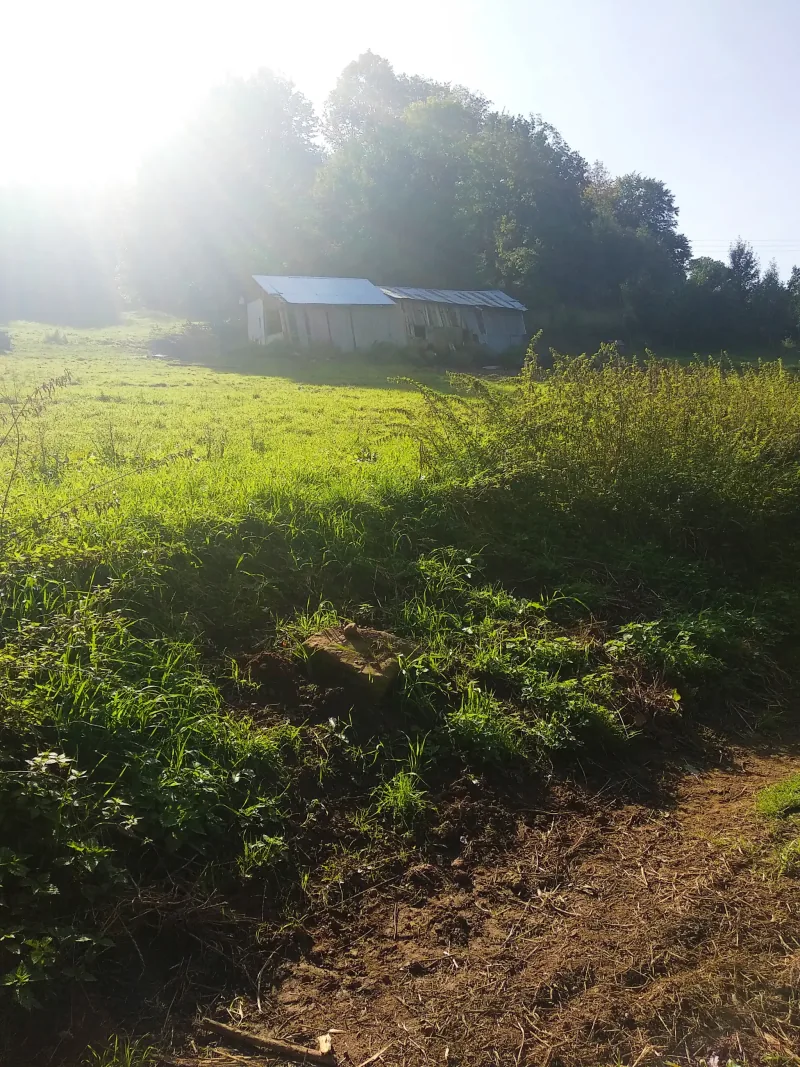 Polish Czech Landscapes 106