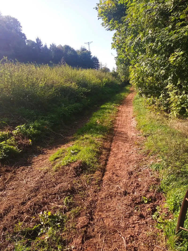 Polish Czech Landscapes 107