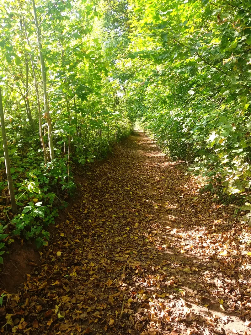 Polish Czech Landscapes 108
