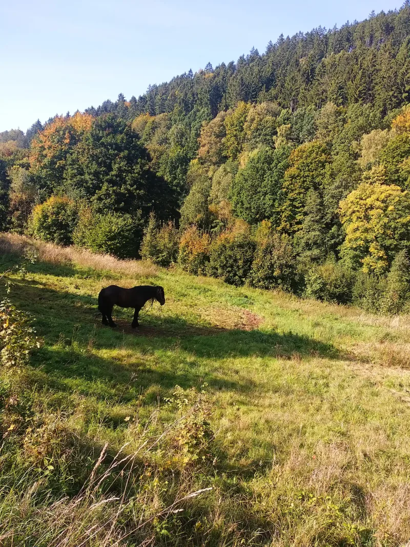 Polish Czech Landscapes 109